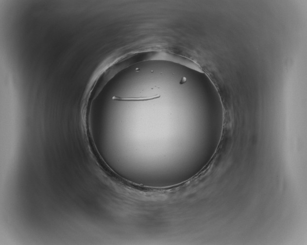 X0000114400004200910231119