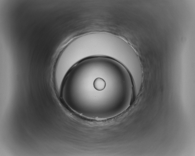 X0000114400005200910231119