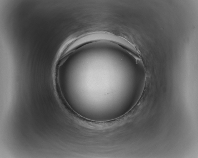 X0000114400006200910231119