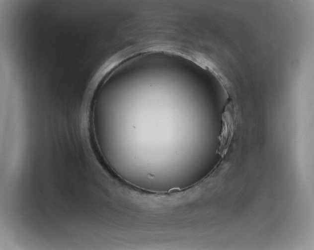 X0000114400007200910231119