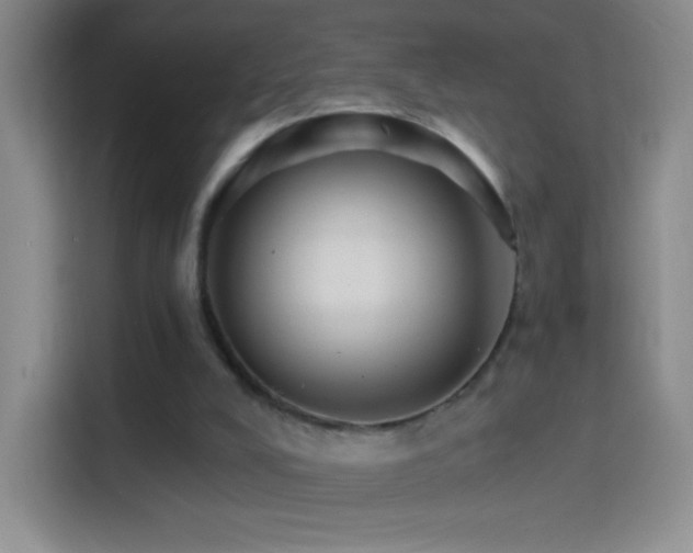 X0000114400008200910231119