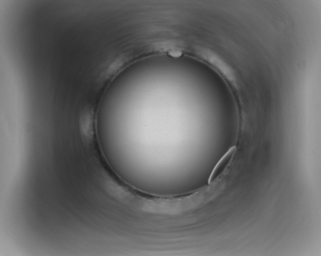 X0000114400009200910231119