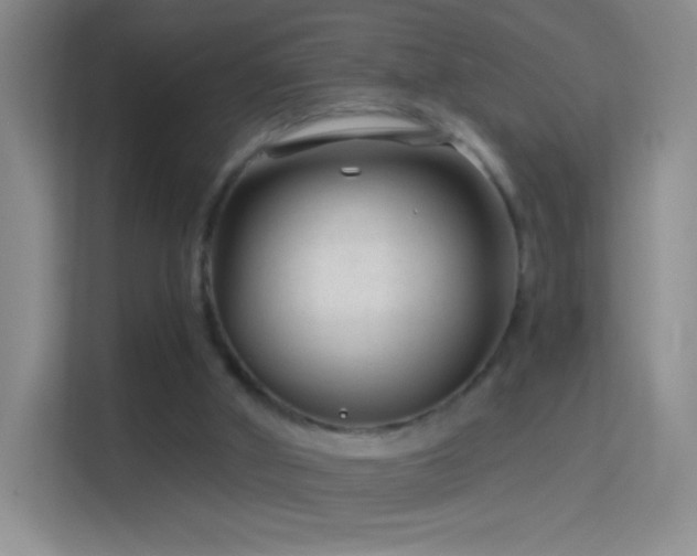 X0000114400010200910231119