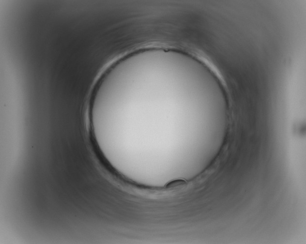 X0000114400011200910231118