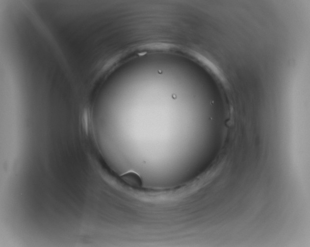 X0000114400013200910231118