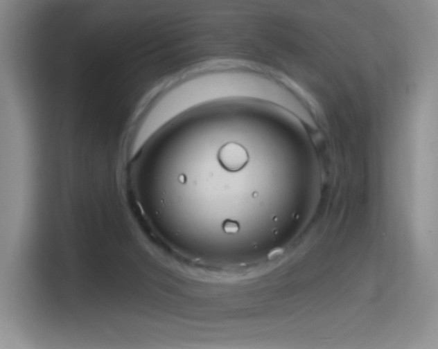 X0000114400015200910231118