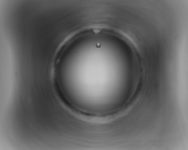 X0000114400016200910231118