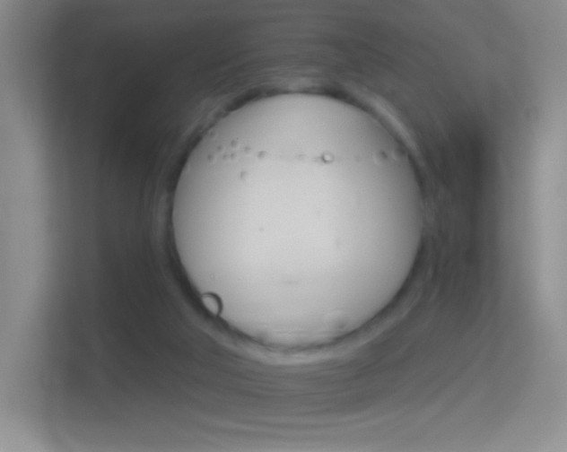 X0000114400018200910231118