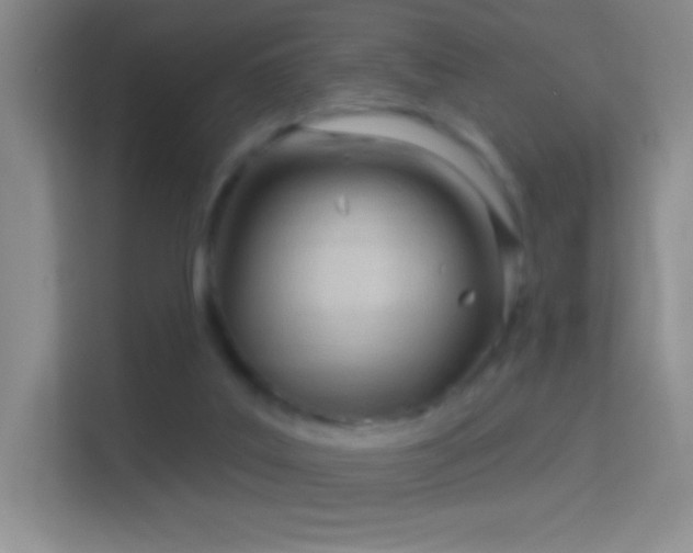 X0000114400019200910231118