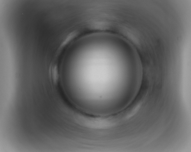 X0000114400020200910231118