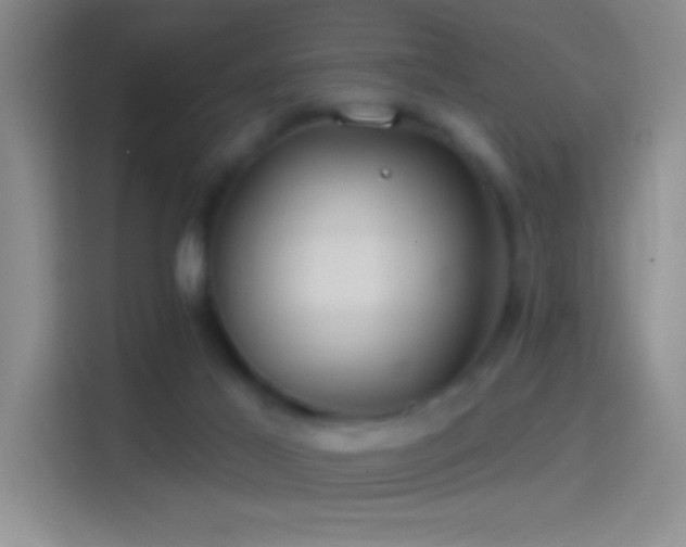 X0000114400021200910231118