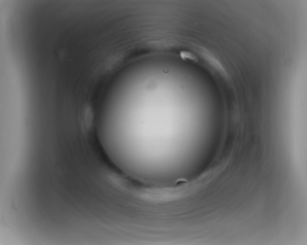 X0000114400025200910231118