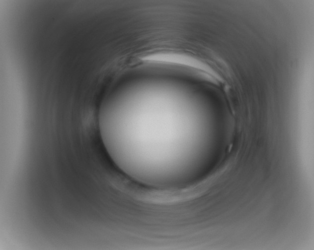 X0000114400029200910231118