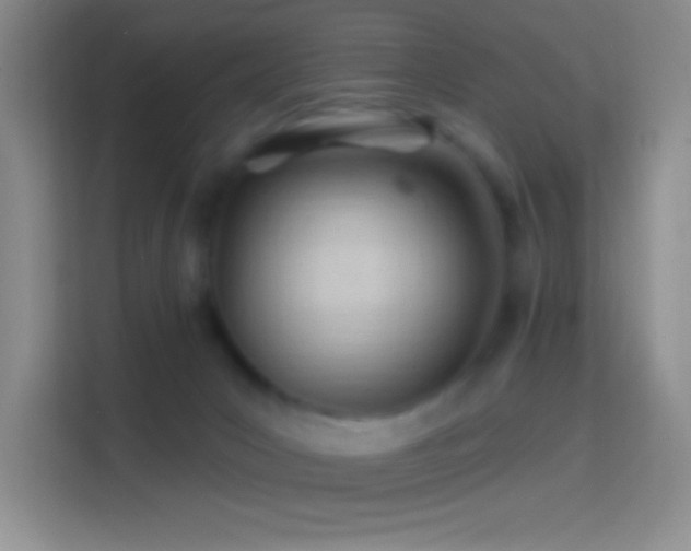 X0000114400031200910231118