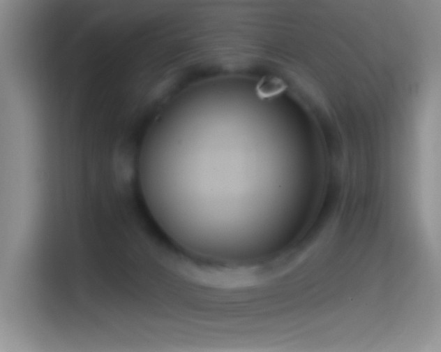 X0000114400032200910231118