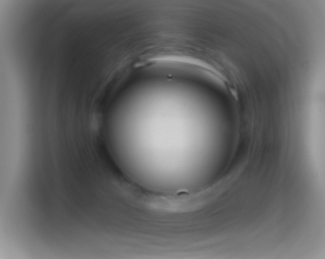 X0000114400033200910231118