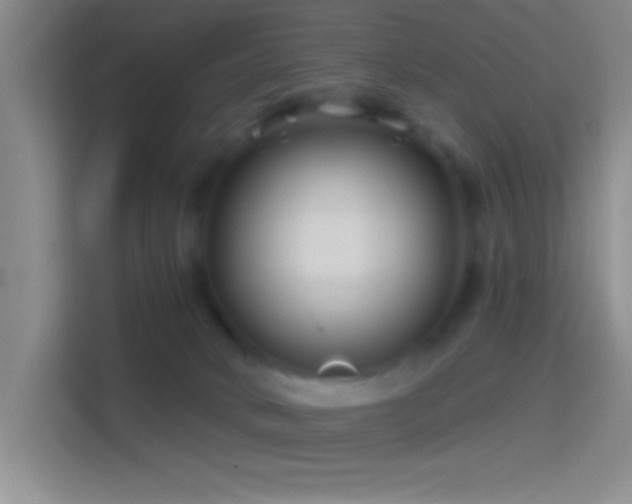 X0000114400034200910231118