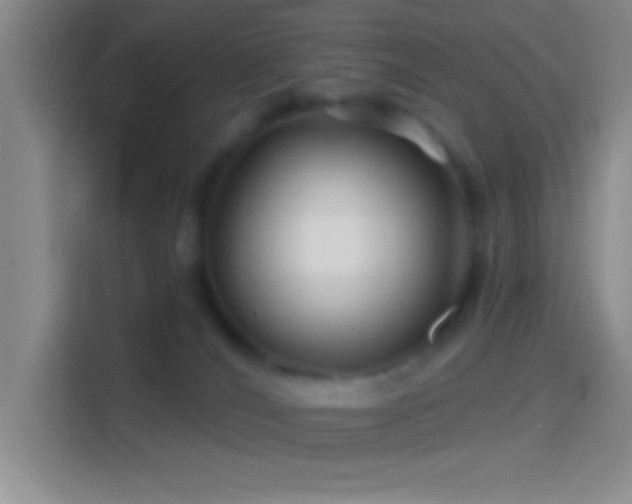 X0000114400036200910231118