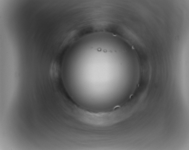 X0000114400038200910231118