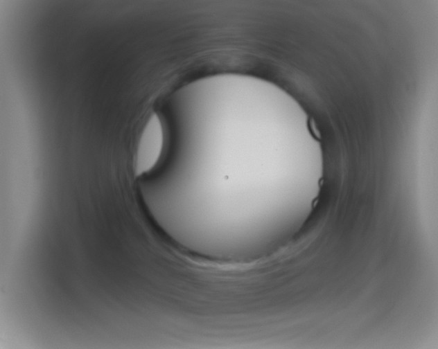 X0000114400040200910231118