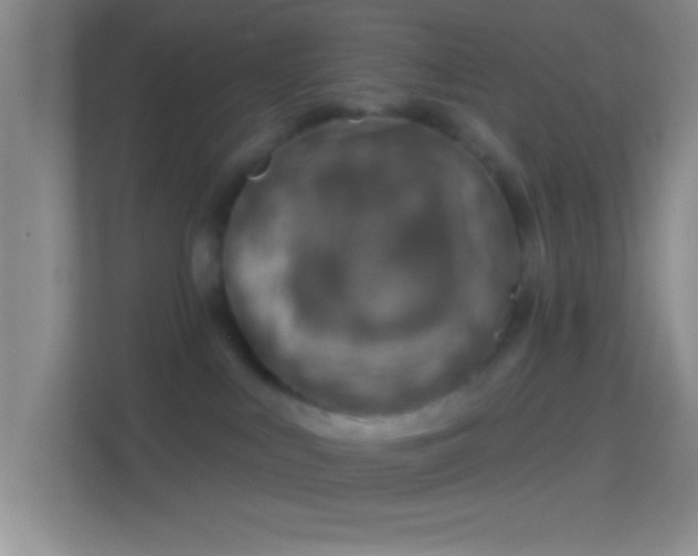 X0000114400043200910231118