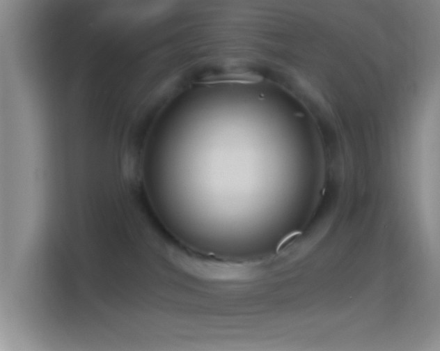 X0000114400044200910231118