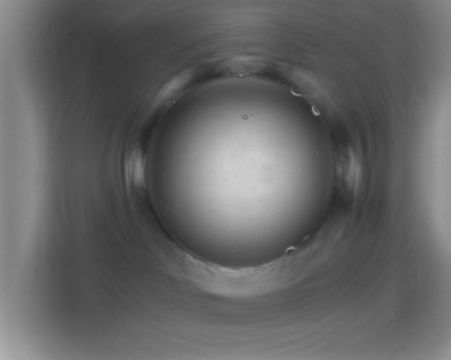 X0000114400046200910231118