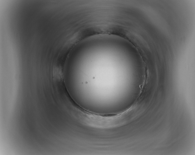 X0000114400048200910231118