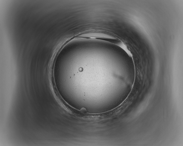 X0000114400049200910231117