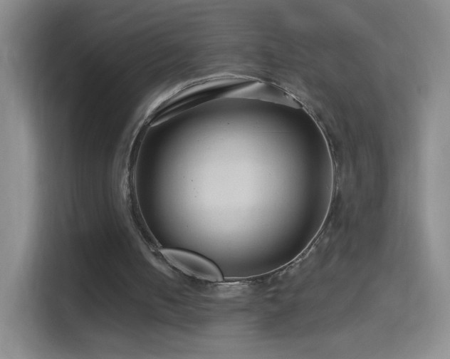 X0000114400050200910231117