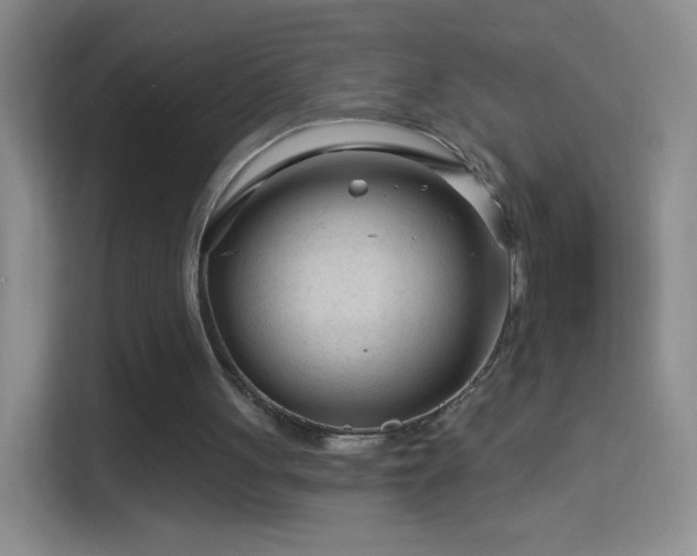 X0000114400051200910231117