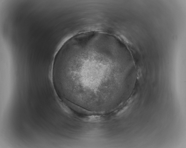 X0000114400052200910231117