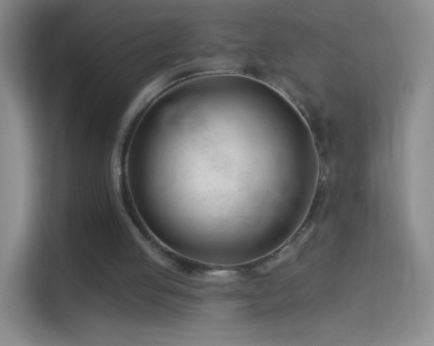 X0000114400053200910231117