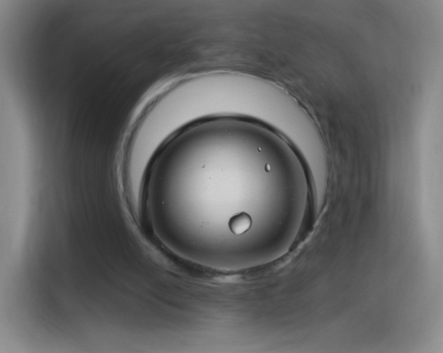 X0000114400054200910231117