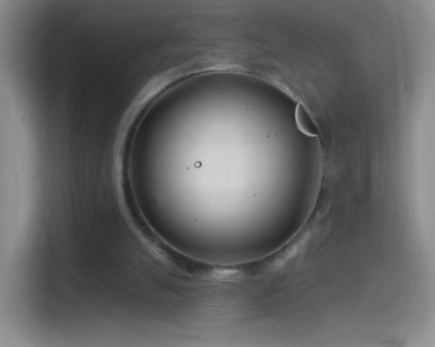 X0000114400055200910231117