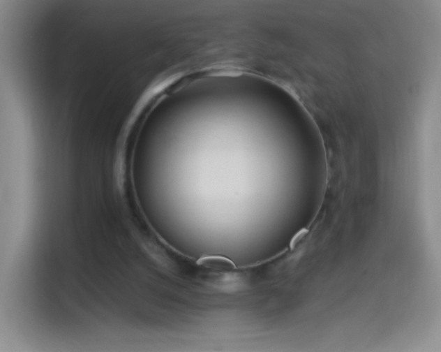 X0000114400056200910231117