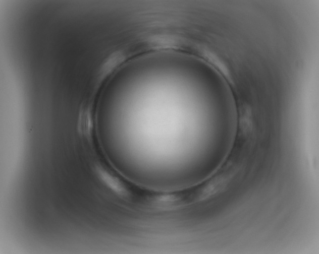 X0000114400059200910231118