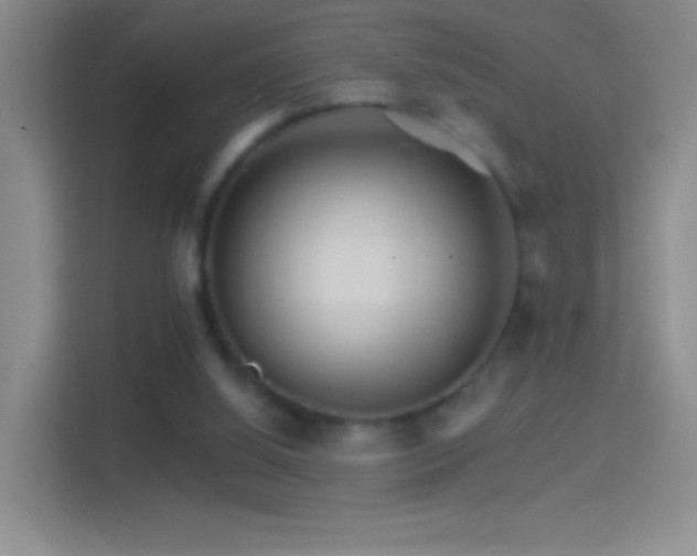 X0000114400060200910231118