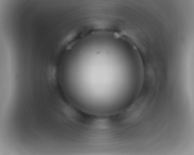 X0000114400066200910231118