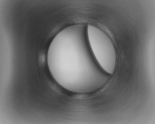 X0000114400067200910231118