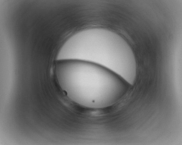 X0000114400068200910231118