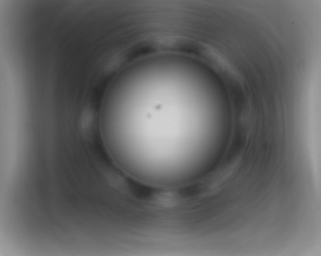 X0000114400079200910231118