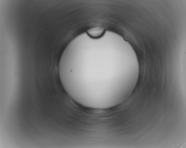 X0000114400085200910231118