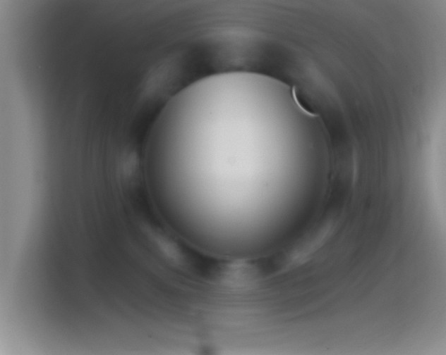 X0000114400087200910231118