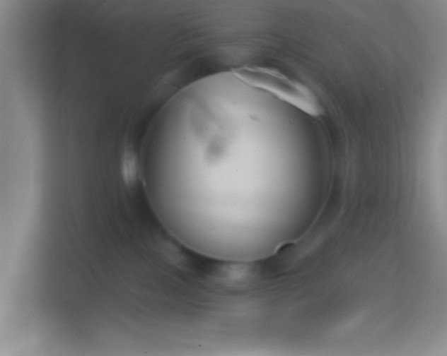 X0000114400089200910231118