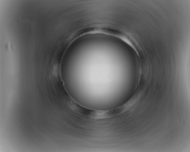 X0000114400093200910231118