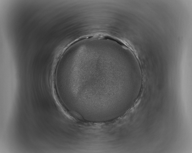 X0000114400097200910231117