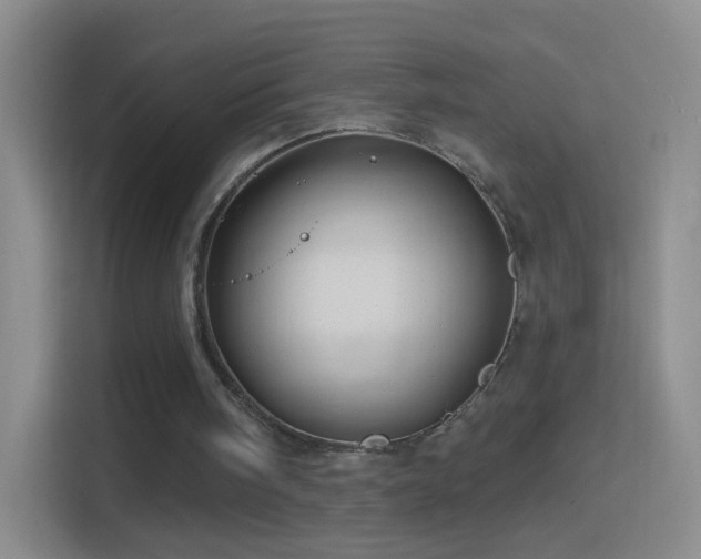 X0000114400098200910231117