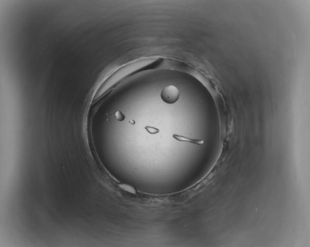 X0000114400099200910231117