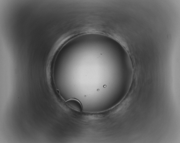 X0000114400103200910231117